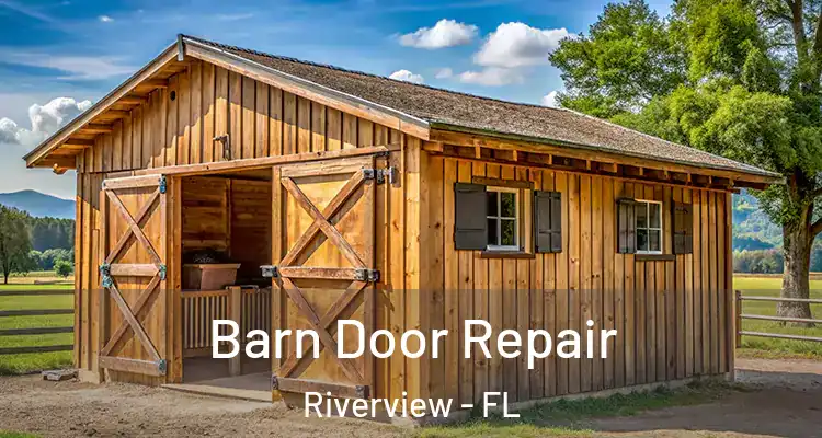  Barn Door Repair Riverview - FL