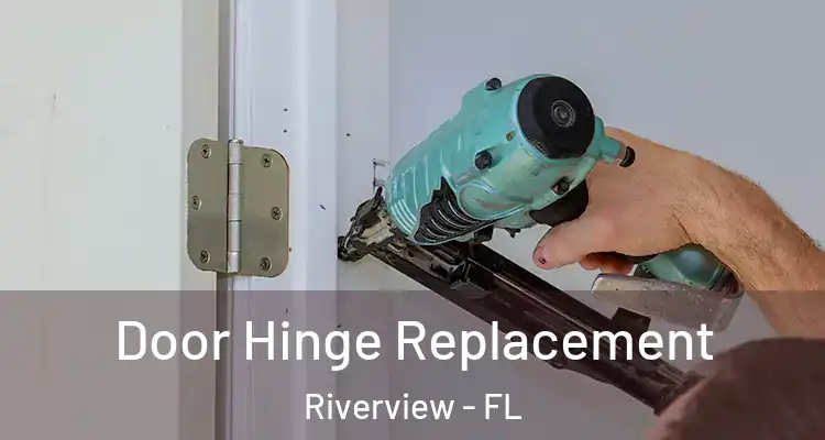  Door Hinge Replacement Riverview - FL