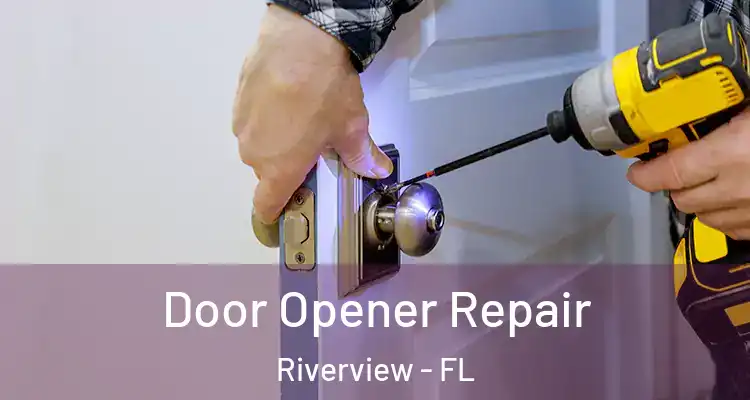  Door Opener Repair Riverview - FL
