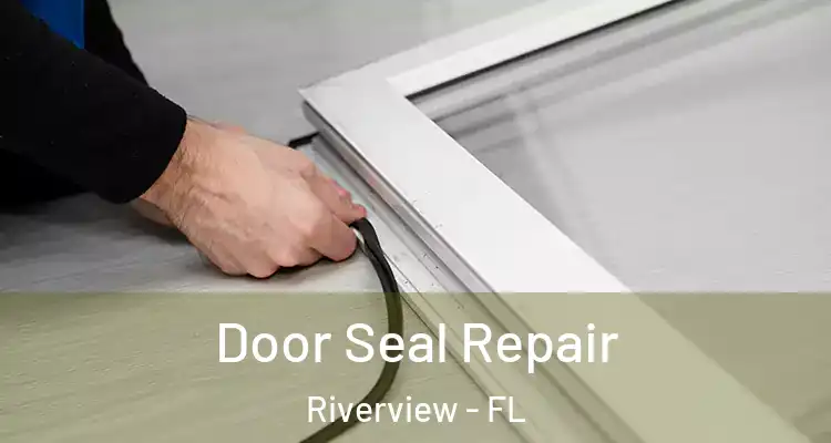  Door Seal Repair Riverview - FL
