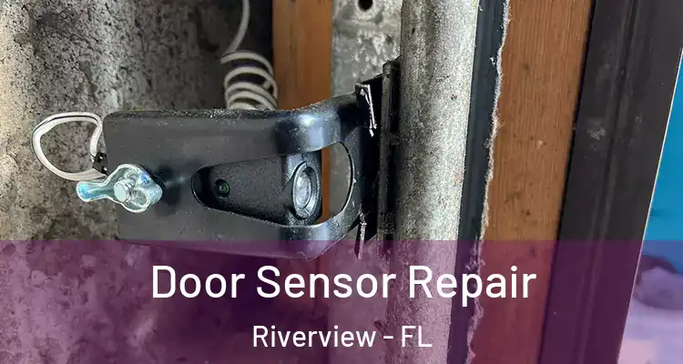  Door Sensor Repair Riverview - FL