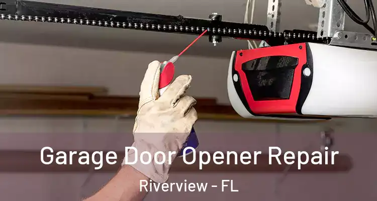  Garage Door Opener Repair Riverview - FL