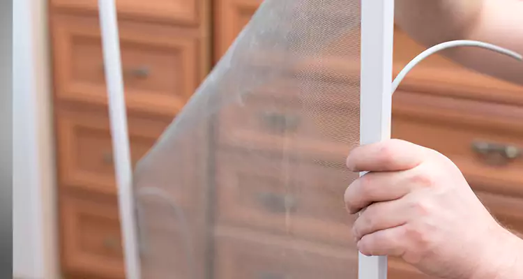 Privacy Mesh Screen Door Installation in Riverview, FL