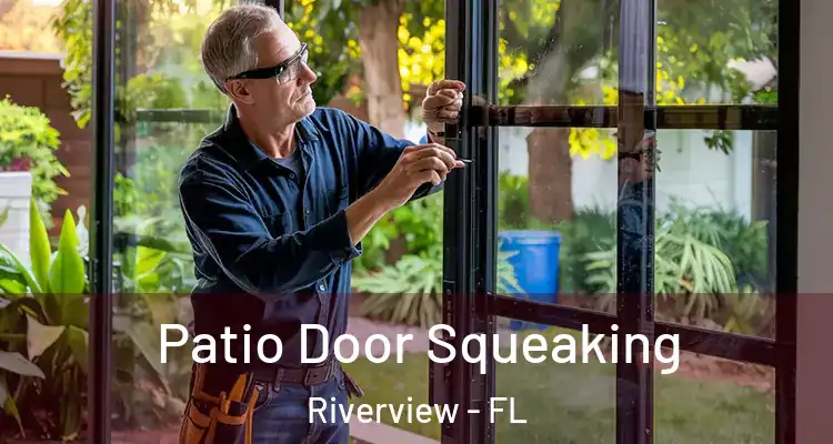  Patio Door Squeaking Riverview - FL
