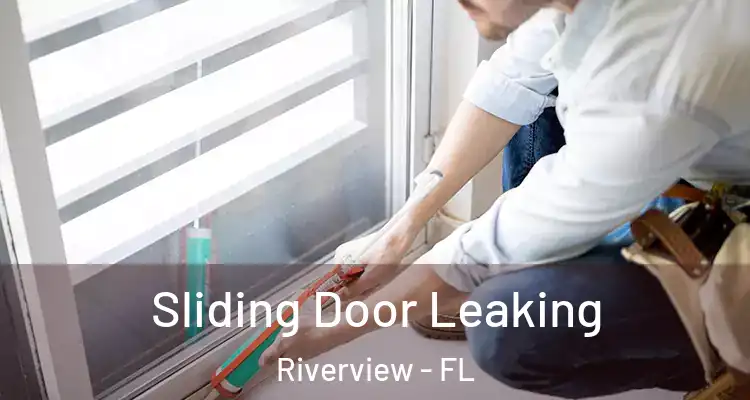  Sliding Door Leaking Riverview - FL